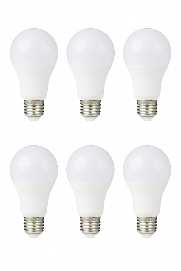 6 Piece 9w LED BULB